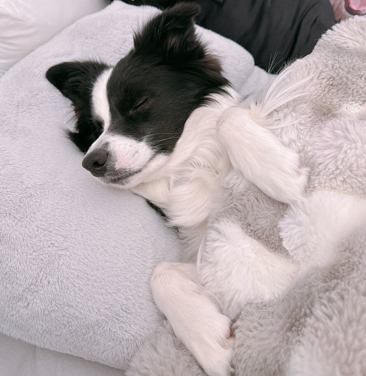 布団をかけて眠るレティちゃん