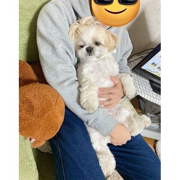 弟さんに抱っこされるこむぎくん