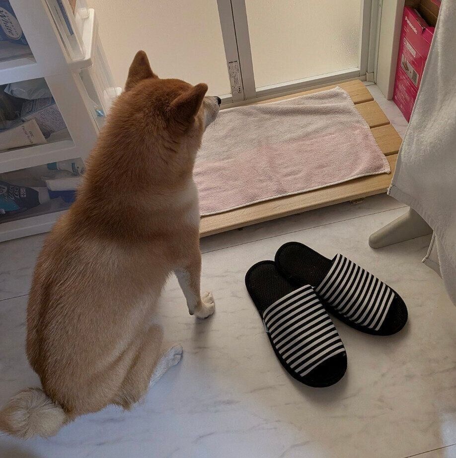お父さんを待つくるみちゃん