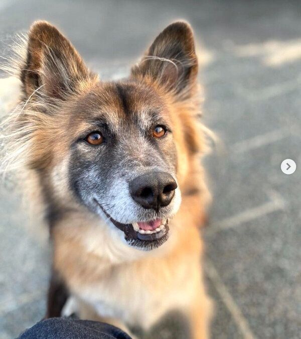 優しい表情をするれんくん