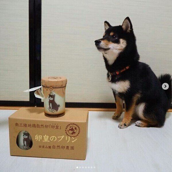 ビッグサイズの美味しいプリン