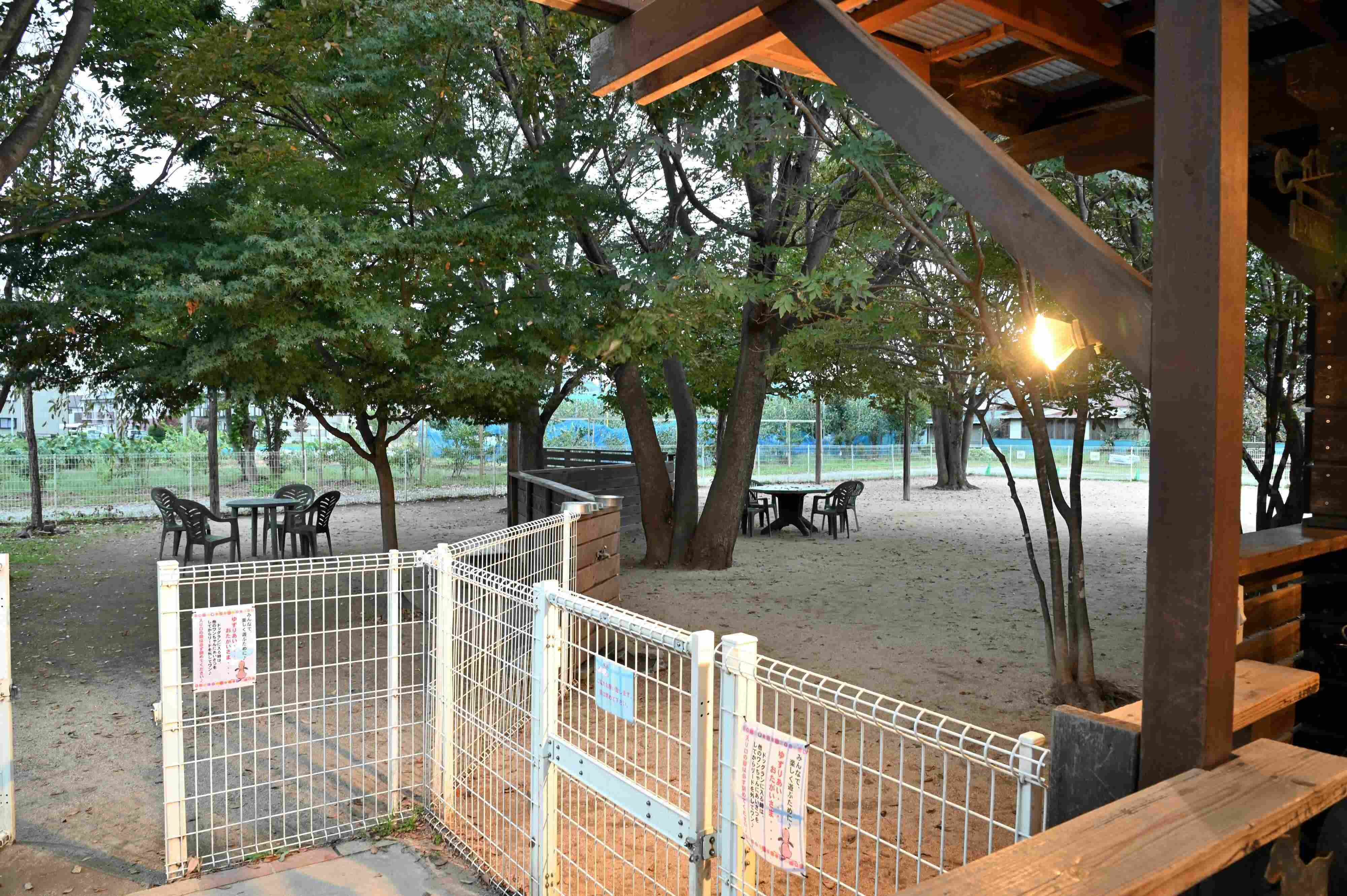 緑に囲まれたドッグラン