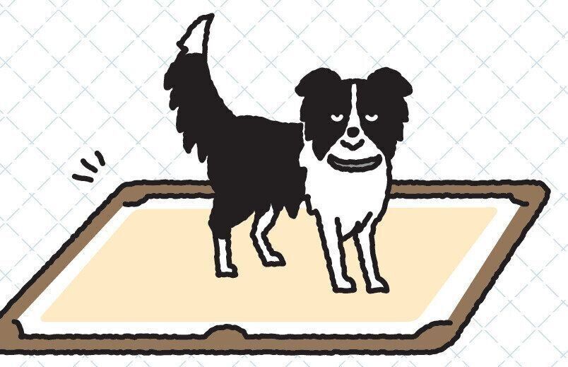 イラスト／亀山鶴子