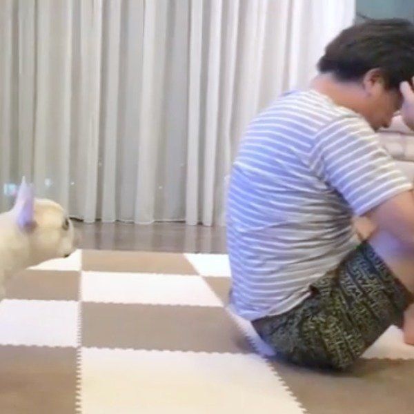 スパルタトレーナーのれおんくん