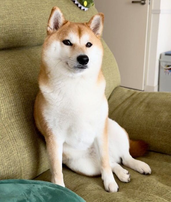 すくすくと成長したふぅこちゃん