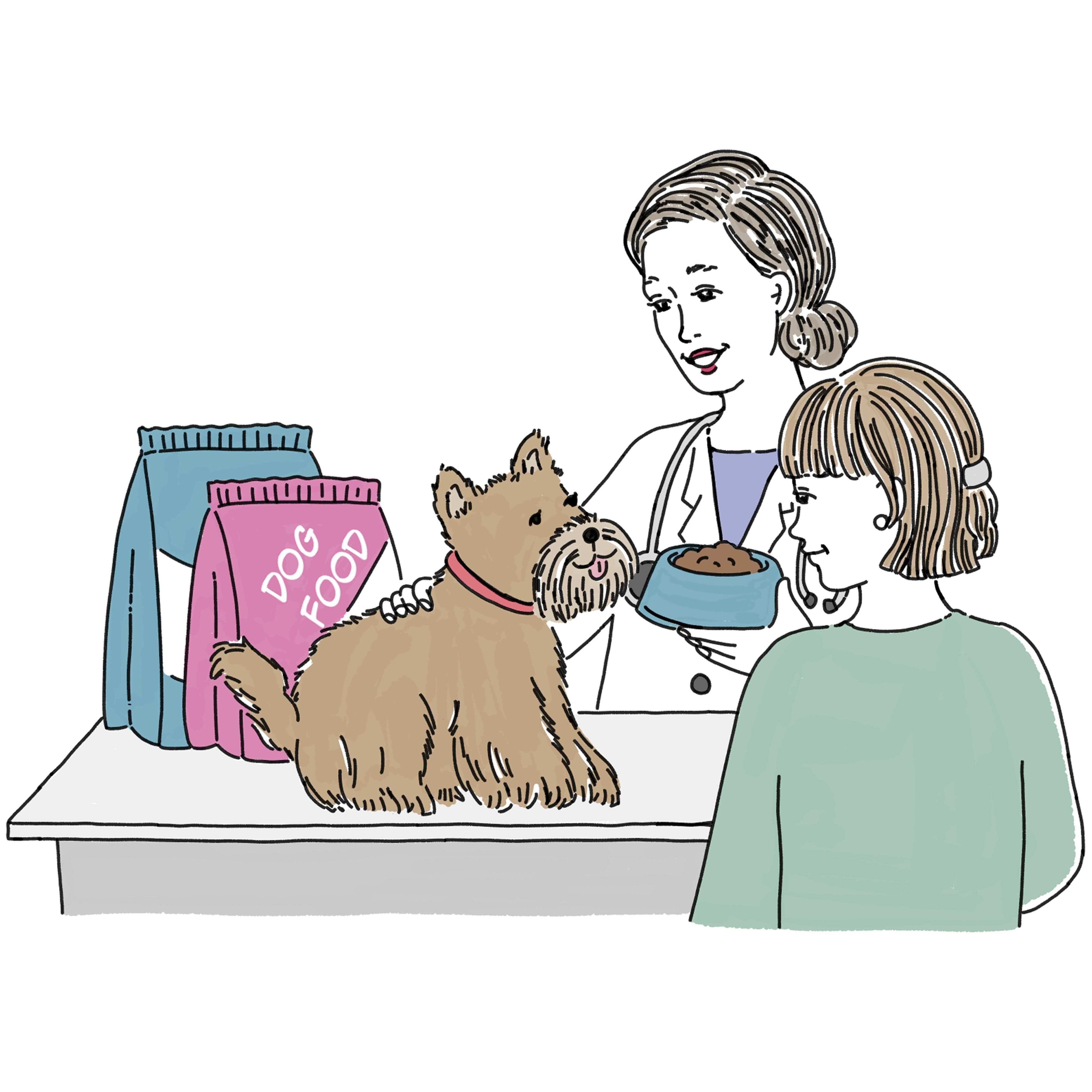 イラスト／Hanna