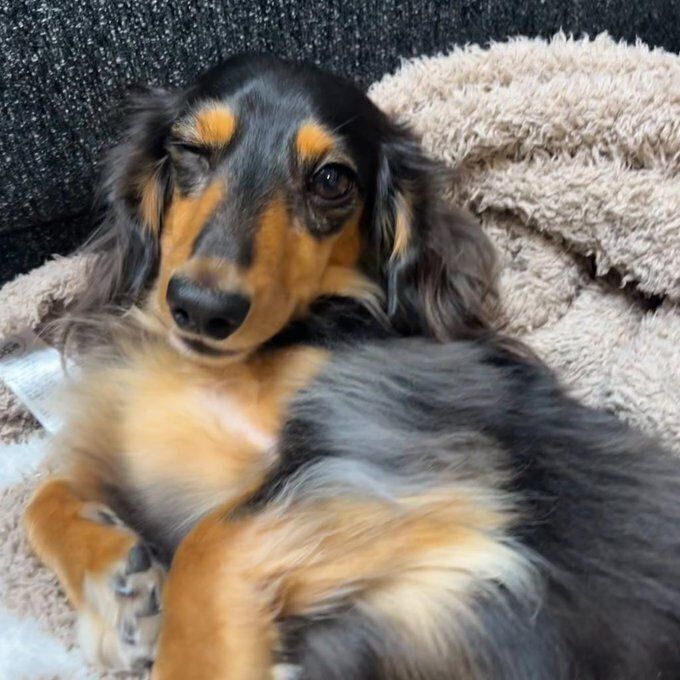 片方の目をつぶるこうくん