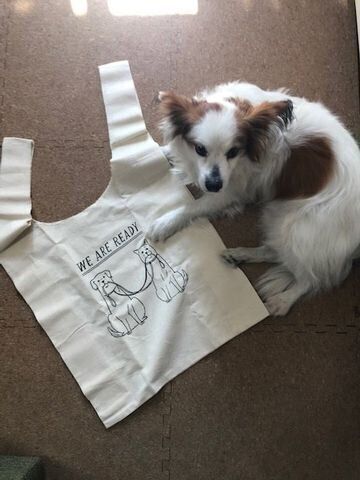 うちの犬もお気に入りです