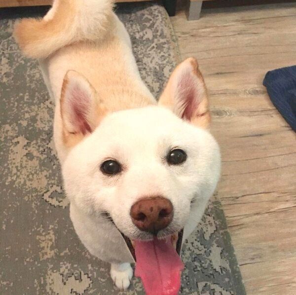 見つめる福来くん