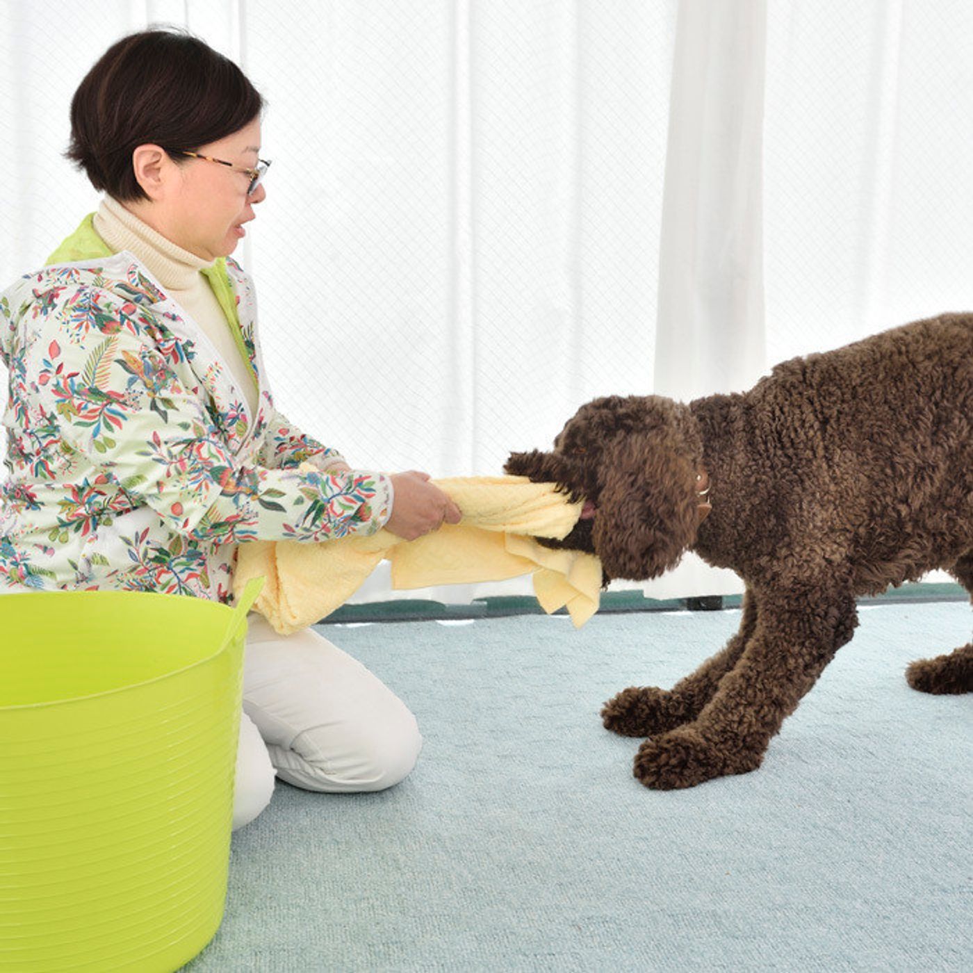 愛犬が興奮しやすいのは飼い主さんの あの行動のせいだった いぬのきもちweb Magazine 愛犬が興奮しやすいのは飼い主さんの あの行動のせいだった いぬのきもちweb Magazine