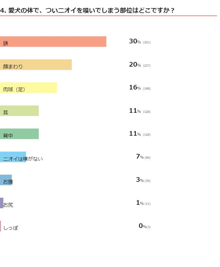いぬのコト360度ミニ調査