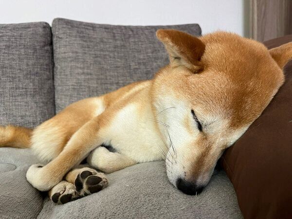 眠る唯ちゃん