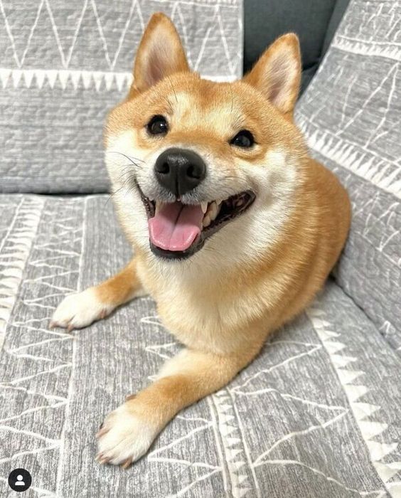 笑顔のうにくん