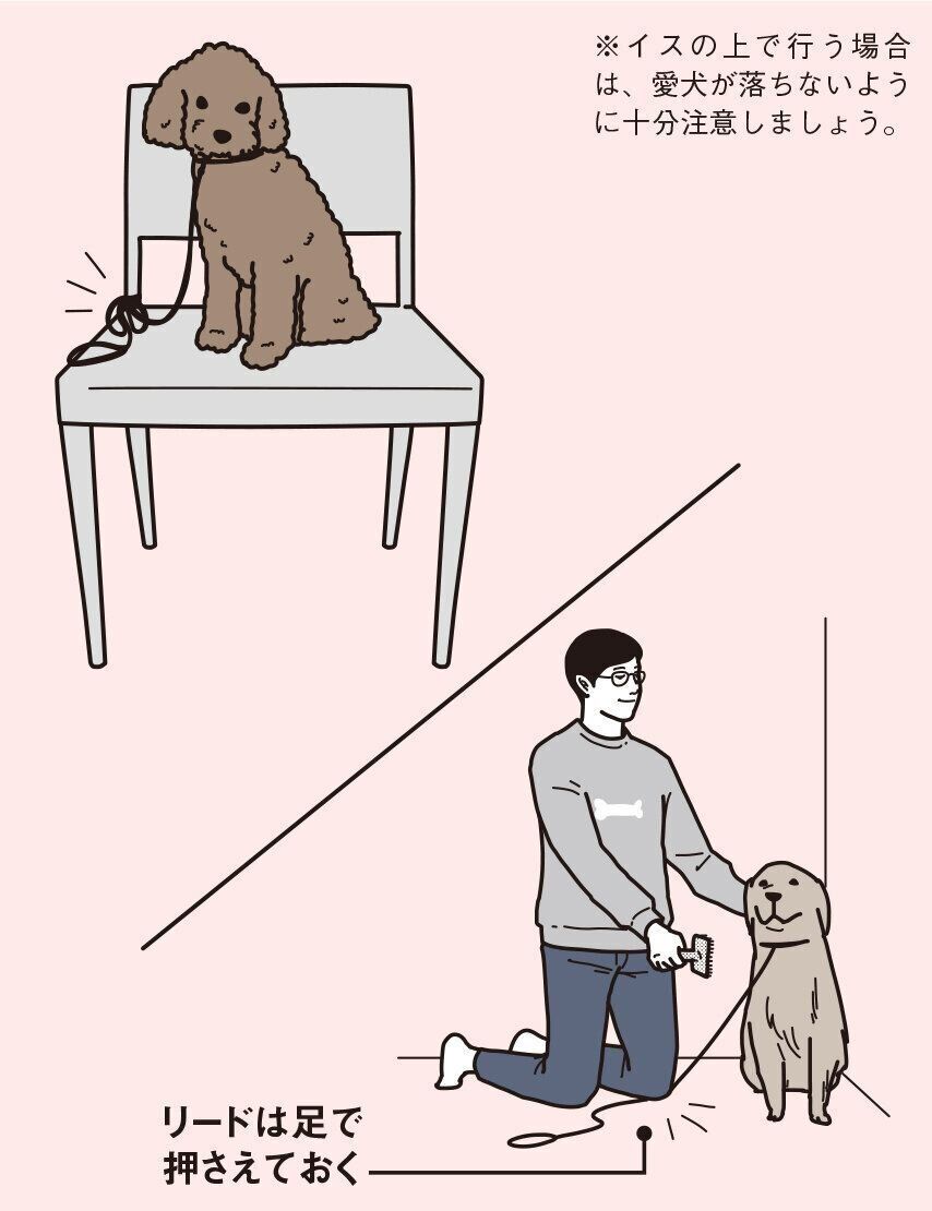 イラスト／二階堂ちはる