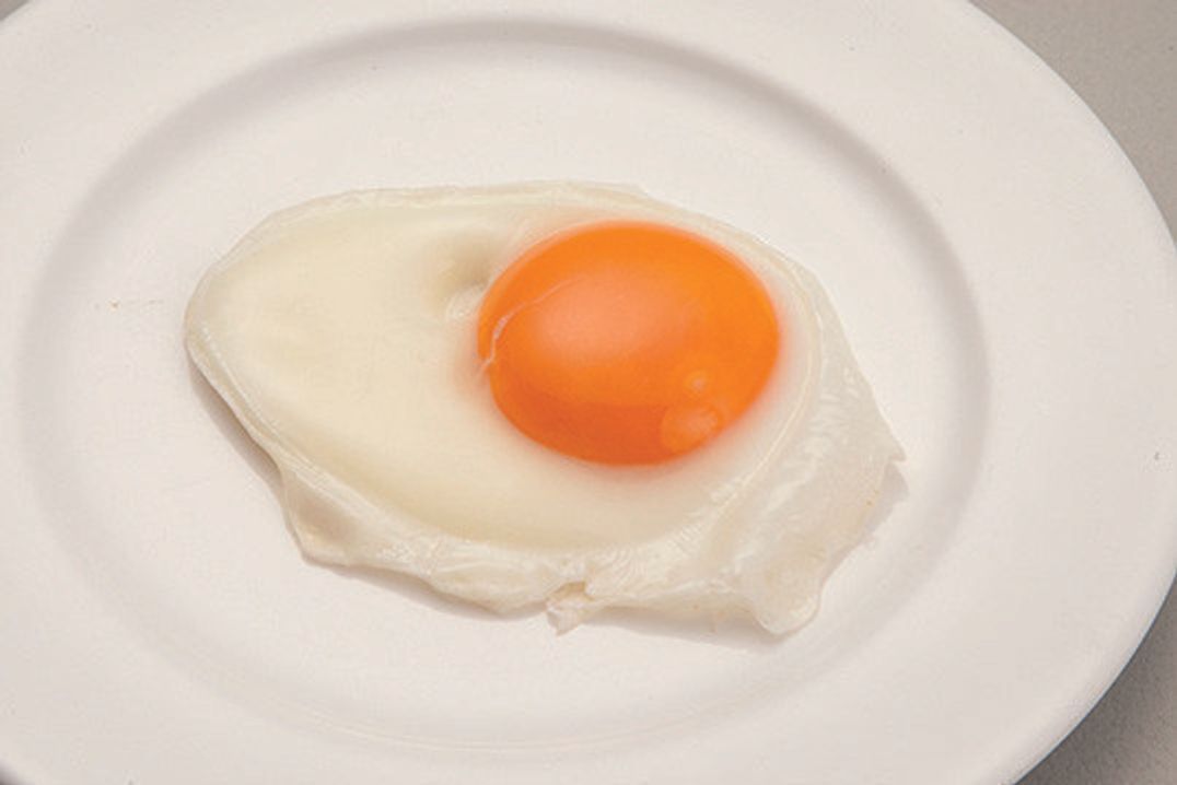 この乳製品や卵食品 犬に与えてok Ng 犬が食べてもいい 食べてはいけない乳製品や卵食品 いぬのきもちweb Magazine この乳製品や卵食品 犬に与えてok Ng 犬が食べてもいい 食べてはいけない乳製品や卵食品 いぬのきもちweb Magazine