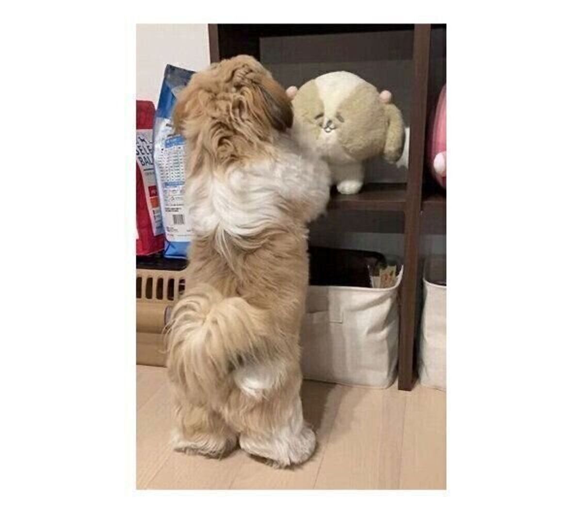 Ieirzezdp Fzfm Ieirzezdp Fzfm