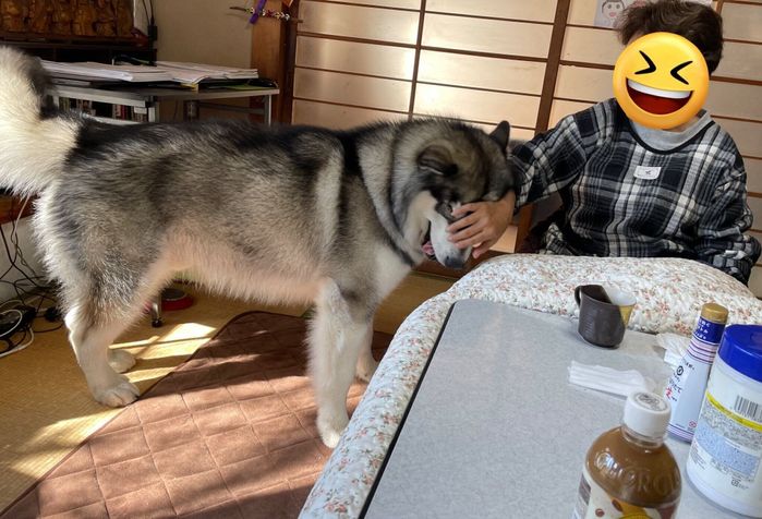 おばあちゃんのことが大好きなアルくん