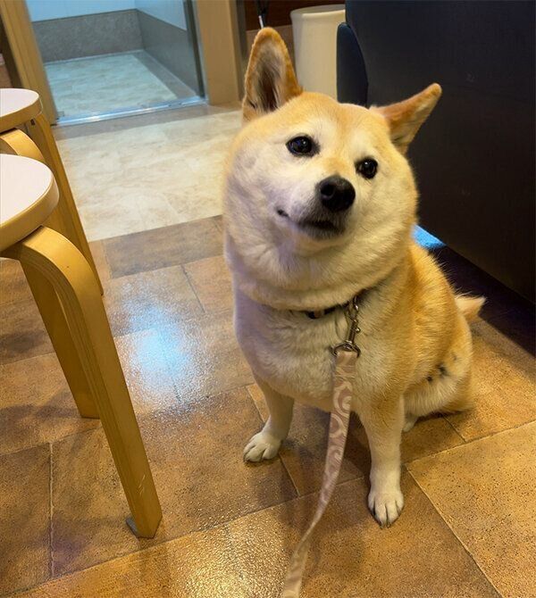 病院で診察を待つゆめちゃん