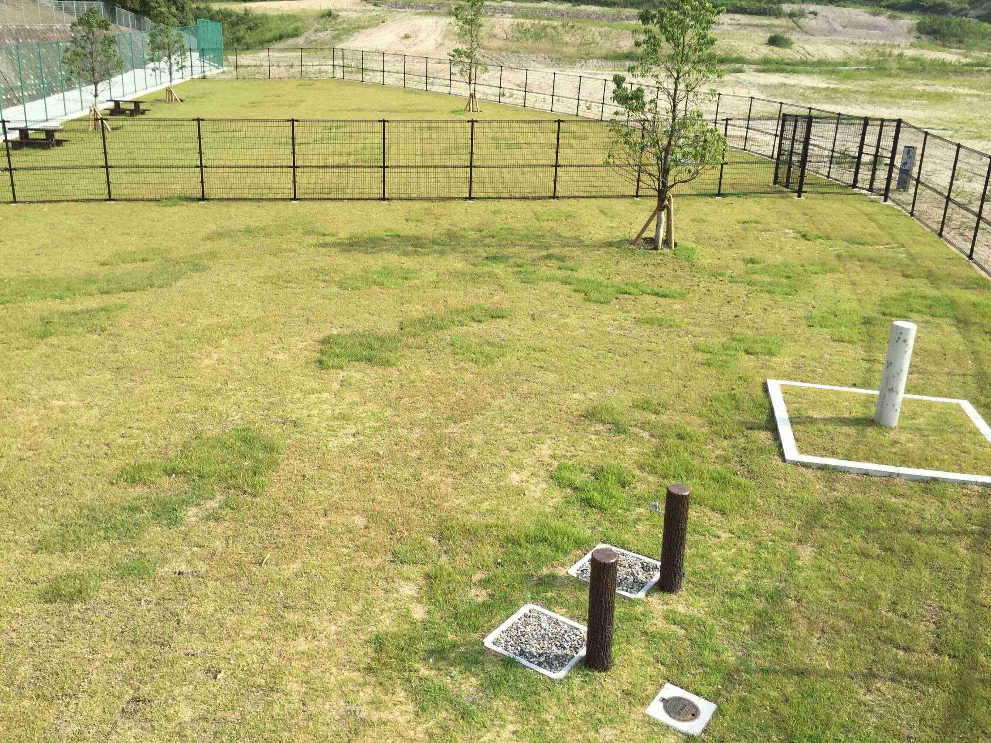 全面芝生張りのドッグラン