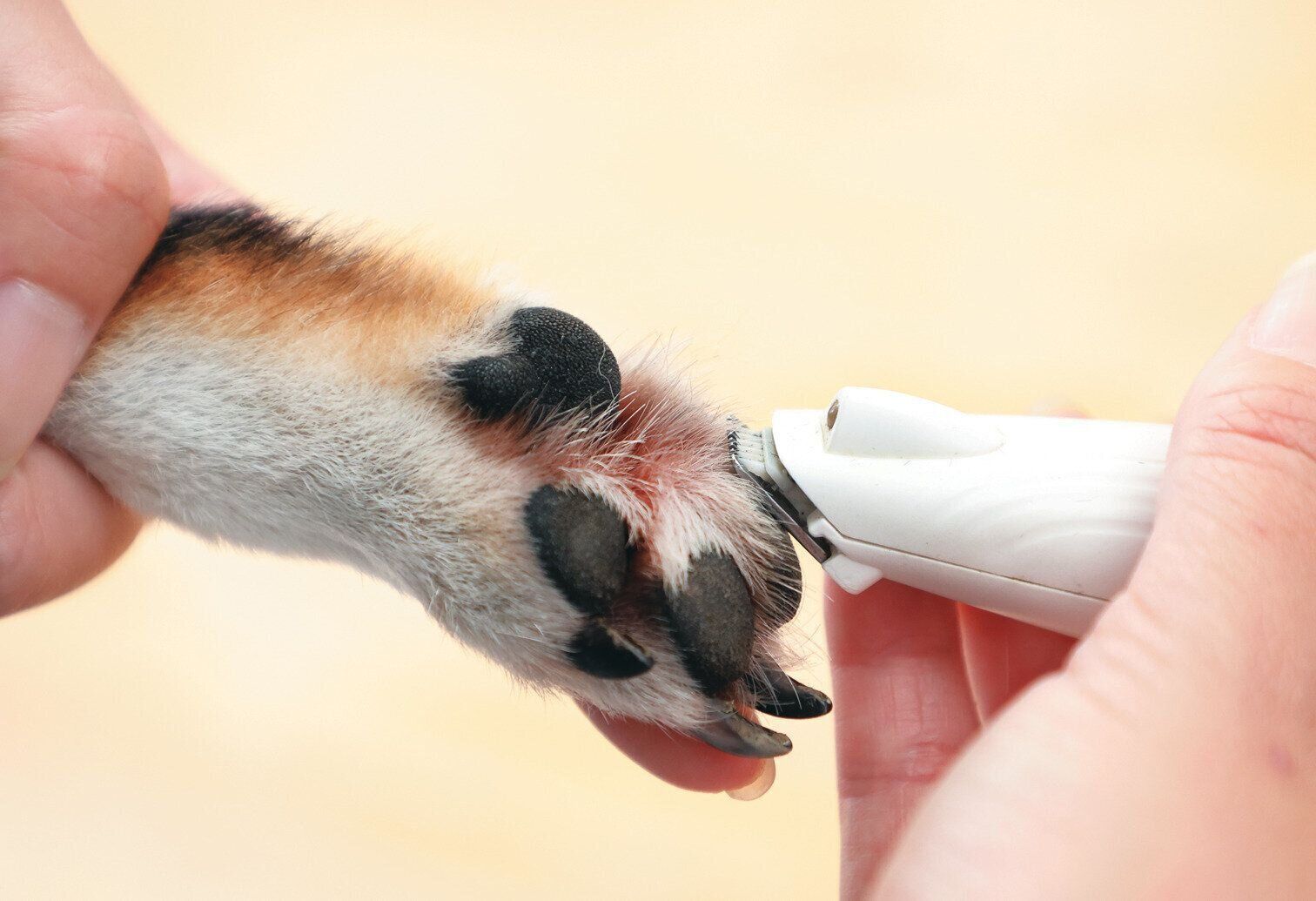 バリカンの動かし方