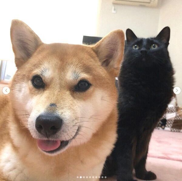 笑顔のミクちゃんと、シンバくん