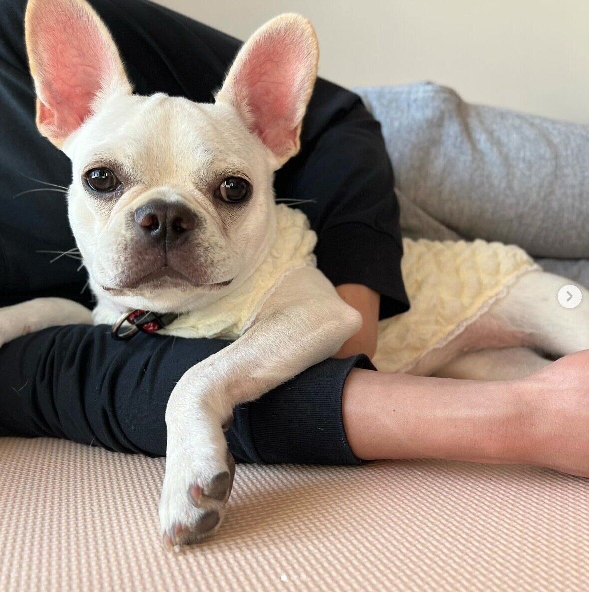 くつろぐグミちゃん