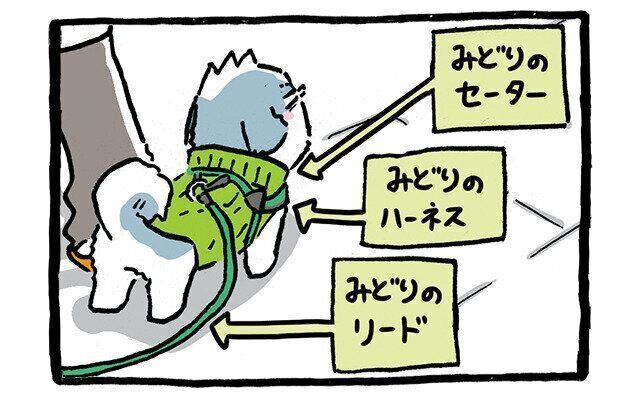 シーズー犬マンガてんぽshihtzu
