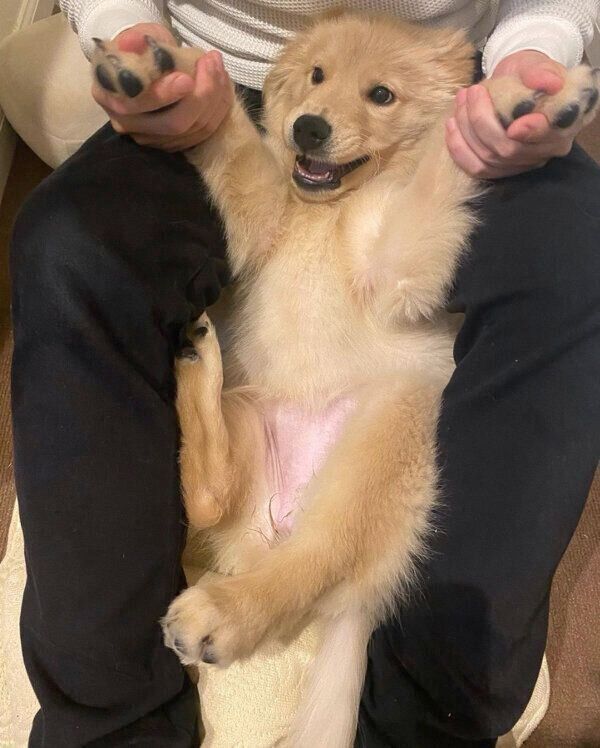 パパさんに甘えるテアちゃん