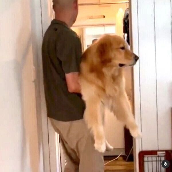 お風呂場に連行されるモッシュくん