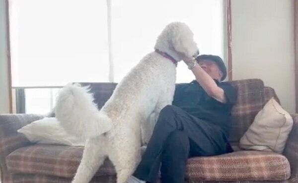 おじいちゃんに甘えるシエルくん