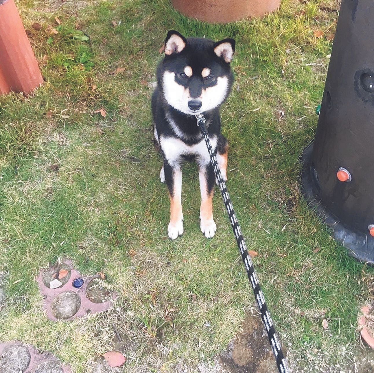 写真提供／O.M.さん