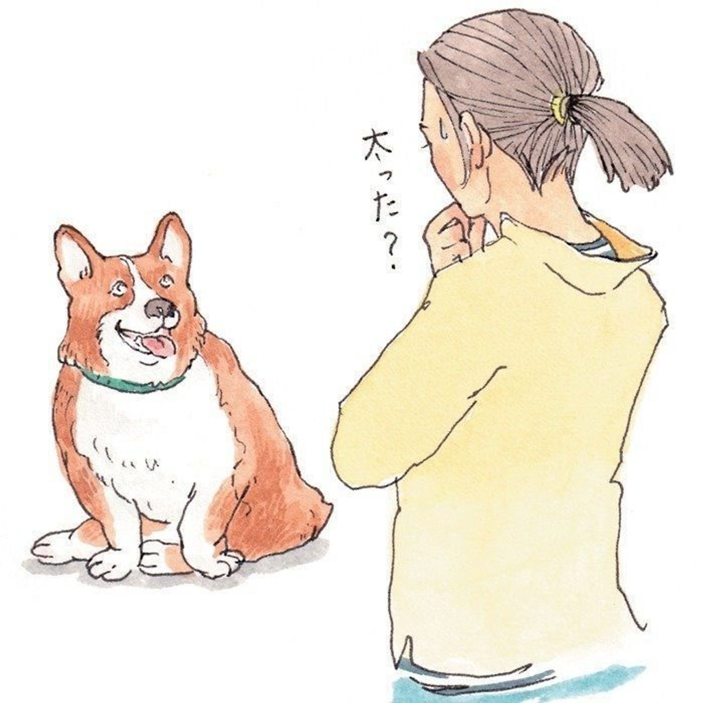 ぽっちゃりでかわいい犬 じゃすまされない キケンな病気 肥満症 いぬのきもちweb Magazine ぽっちゃりでかわいい犬 じゃすまされない キケンな病気 肥満症 いぬのきもちweb Magazine