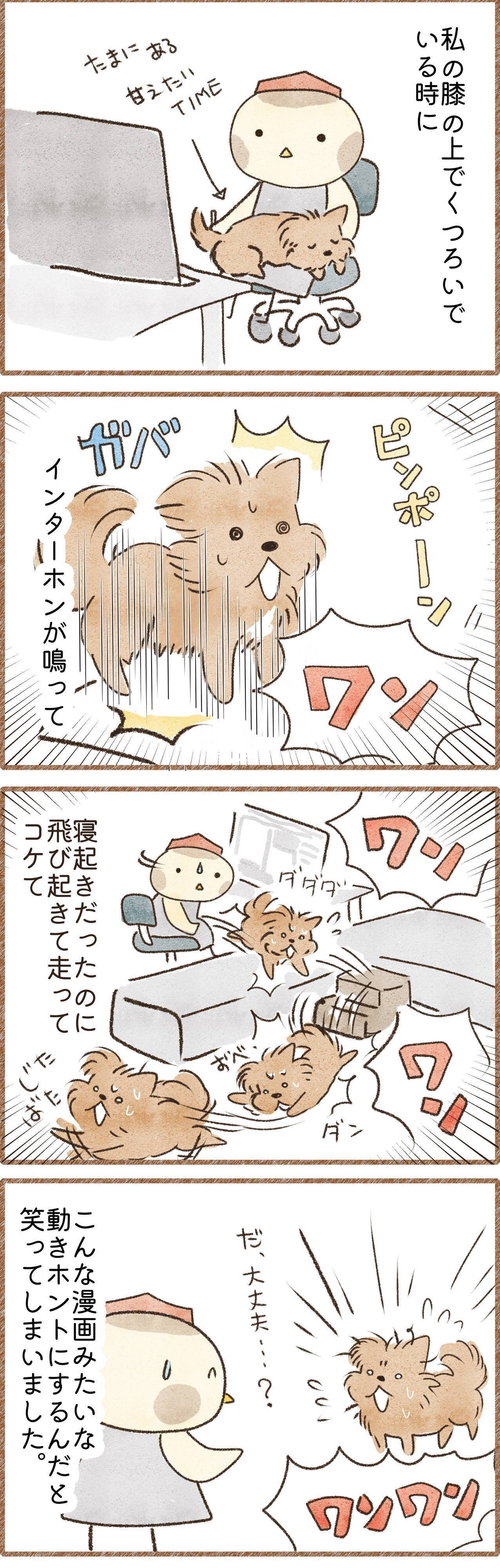 漫画みたいな犬のマンガ