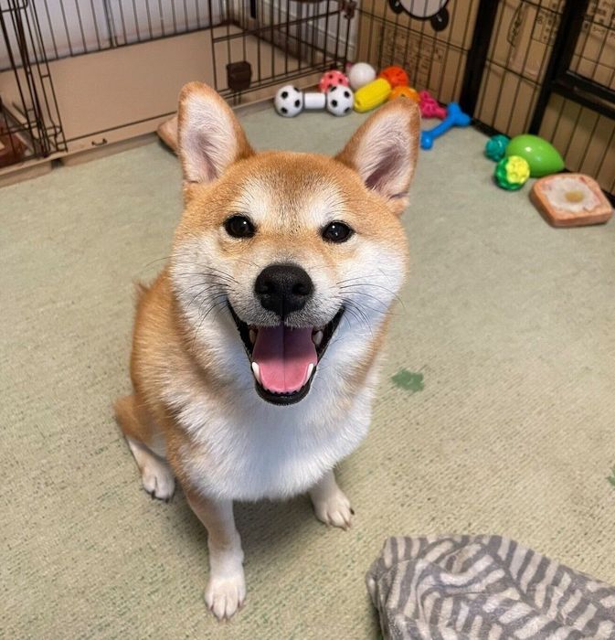 笑顔が可愛いリクくん