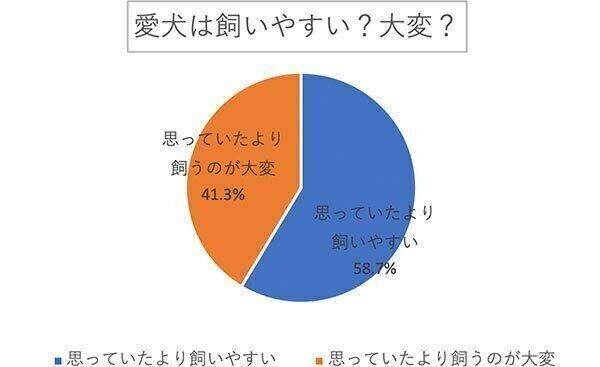 愛犬は飼いやすい? 大変?