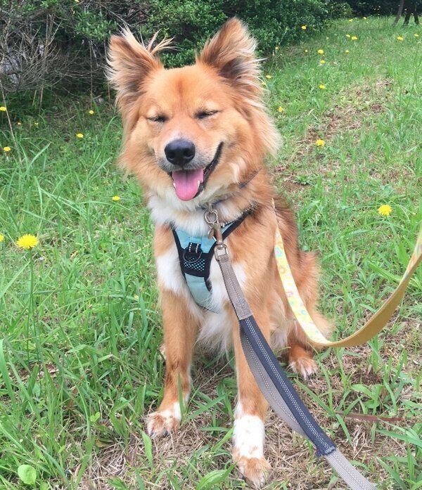 笑顔が可愛いトリスタンくん