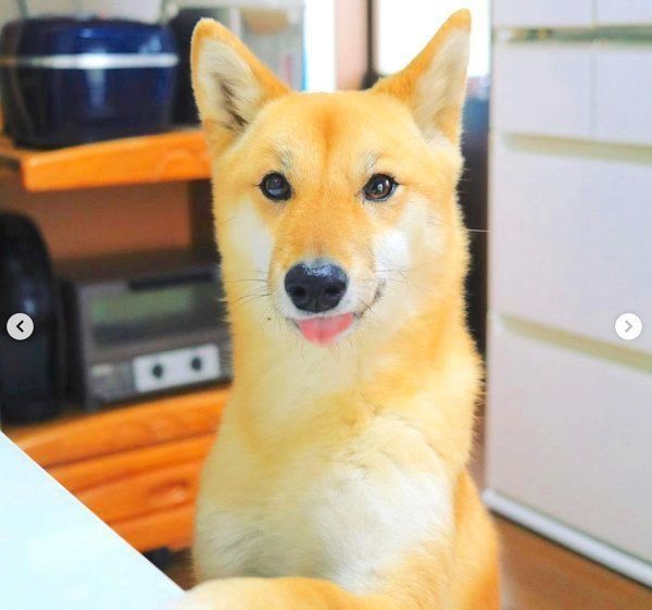 MIXのすずちゃん