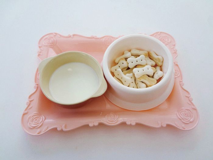 ぐんまフラワーパーク　群馬