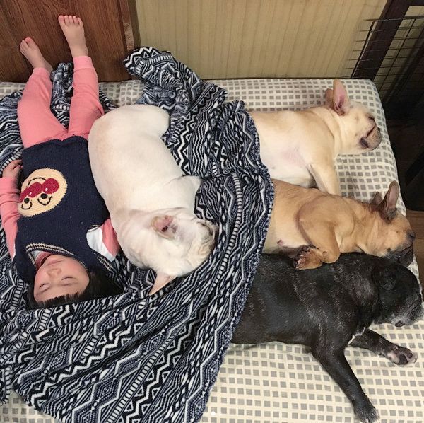 女の子といつも一緒にいるフレンチブルドッグ