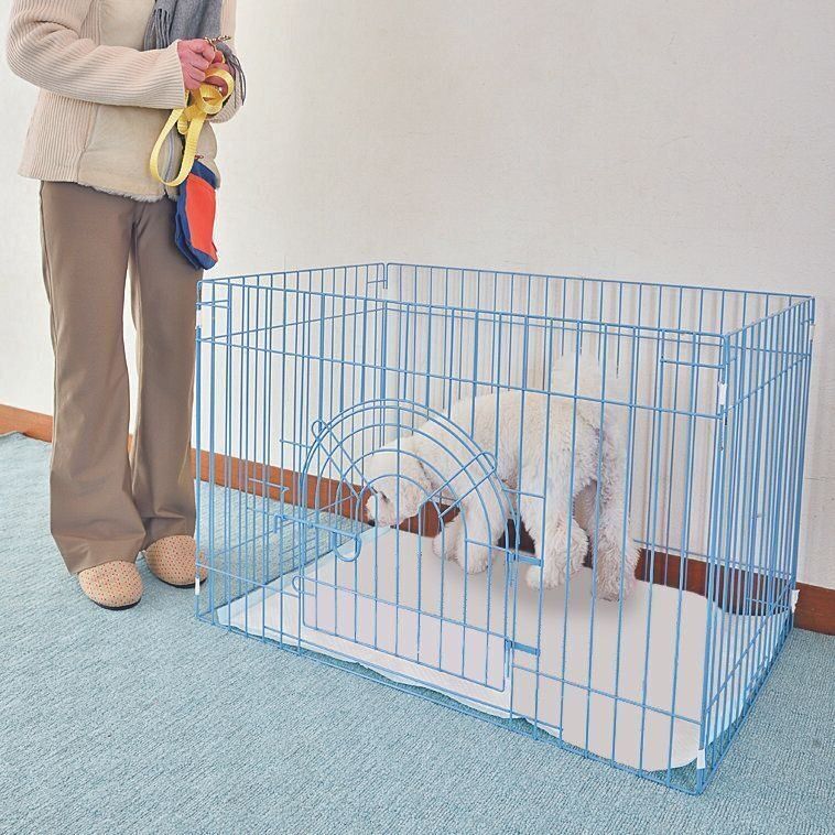 愛犬の排泄時間を見計らってトイレへ誘導し、排泄を促します。排泄ができるまで待ち、排泄ができたら、散歩へ出かけます