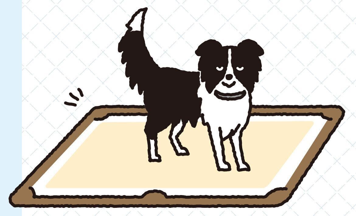 イラスト／亀山鶴子