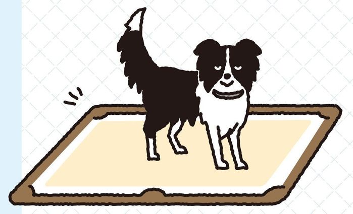 イラスト/亀山鶴子