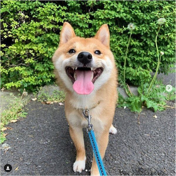 笑顔のうにくん