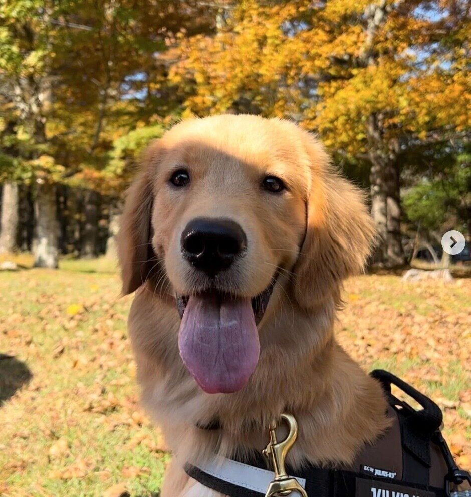 笑顔が可愛いうにちゃん