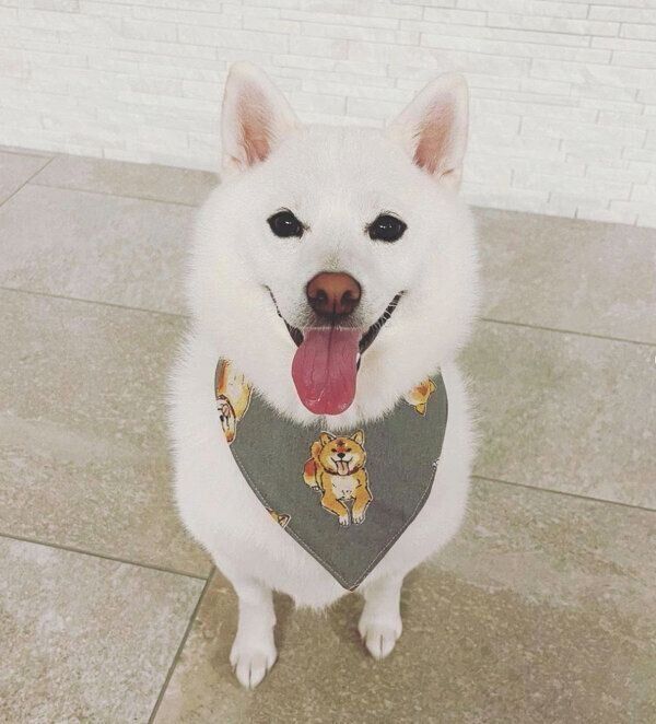 笑顔が可愛い雪ちゃん