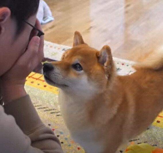 真剣な表情のハチくん