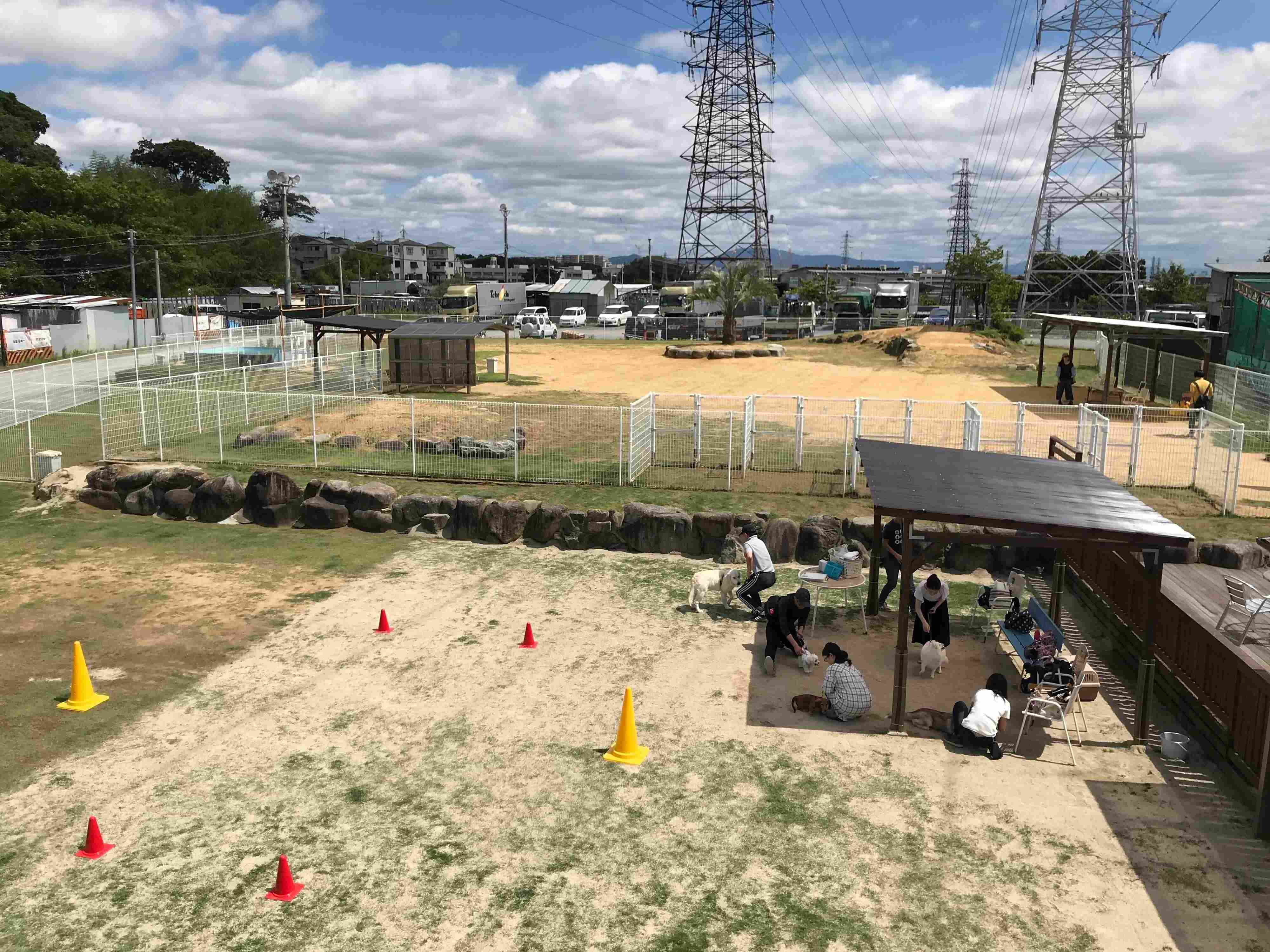 ドッグランで遊ぶ飼い主と犬