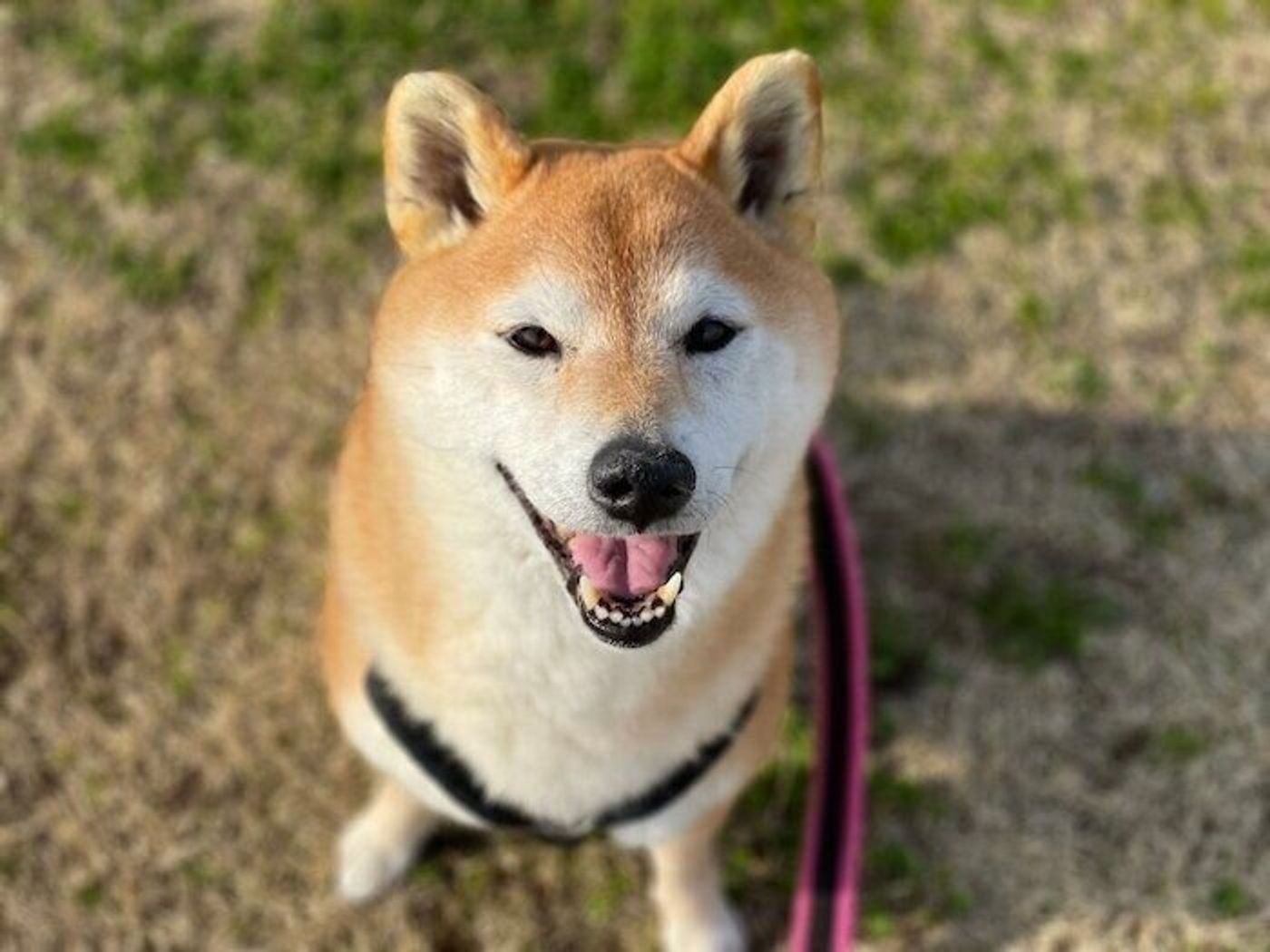 21axoex6vhtxnm 21axoex6vhtxnm