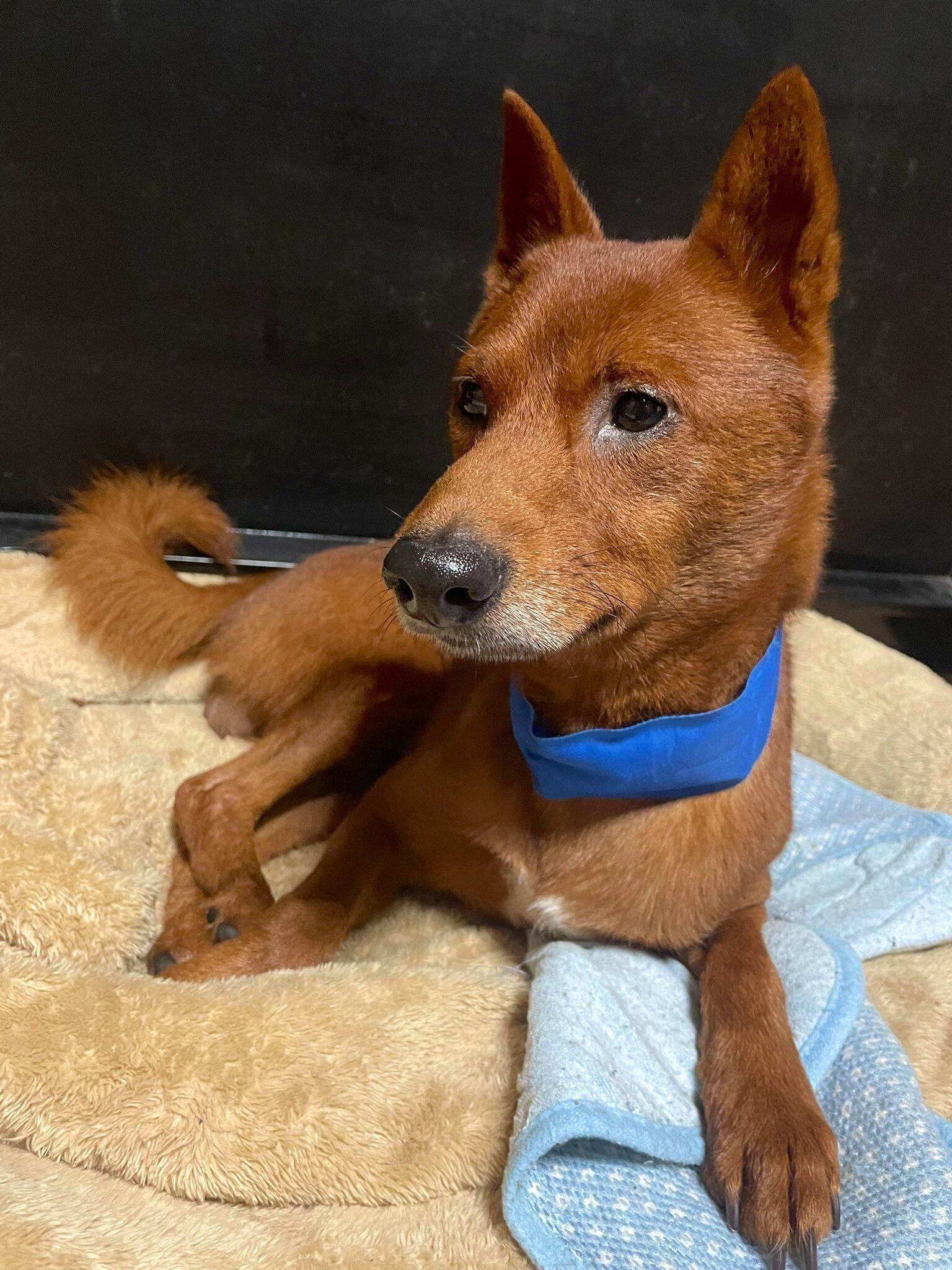 別の日　リラックスした様子の玄くん