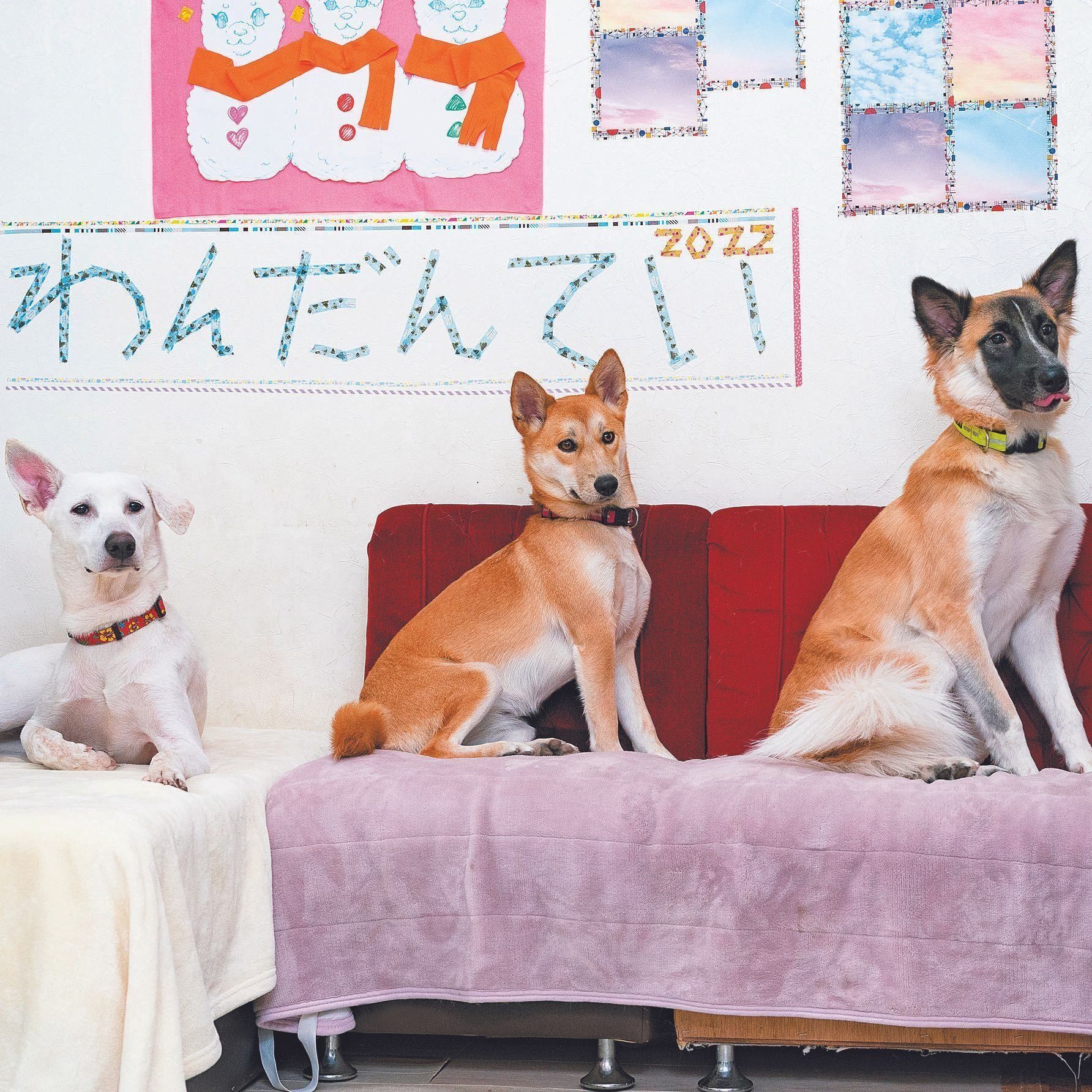 わんだん邸は商業ビル地下１階に